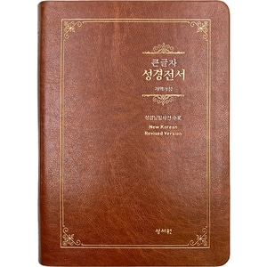 Special 큰글자성경전서 NKR73ESB 대단본 색인 무지퍼 브라운