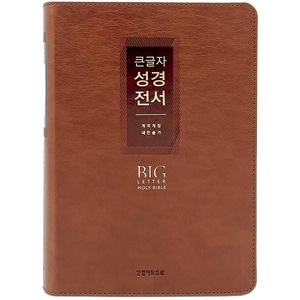 비치용 큰글자성경전서 NKR72EWXU 대합본 개역개정 새찬송가 색인 무지퍼 브라운